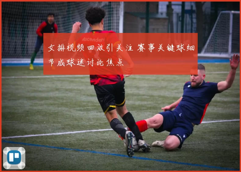女排视频回放引关注 赛事关键球细节成球迷讨论焦点