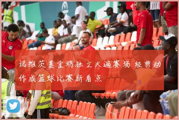 诺维茨基金鸡独立火遍赛场 经典动作成篮球比赛新看点